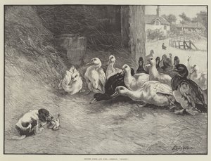 Davanti al Giudice e alla Giuria, Verdetto, Colpevole